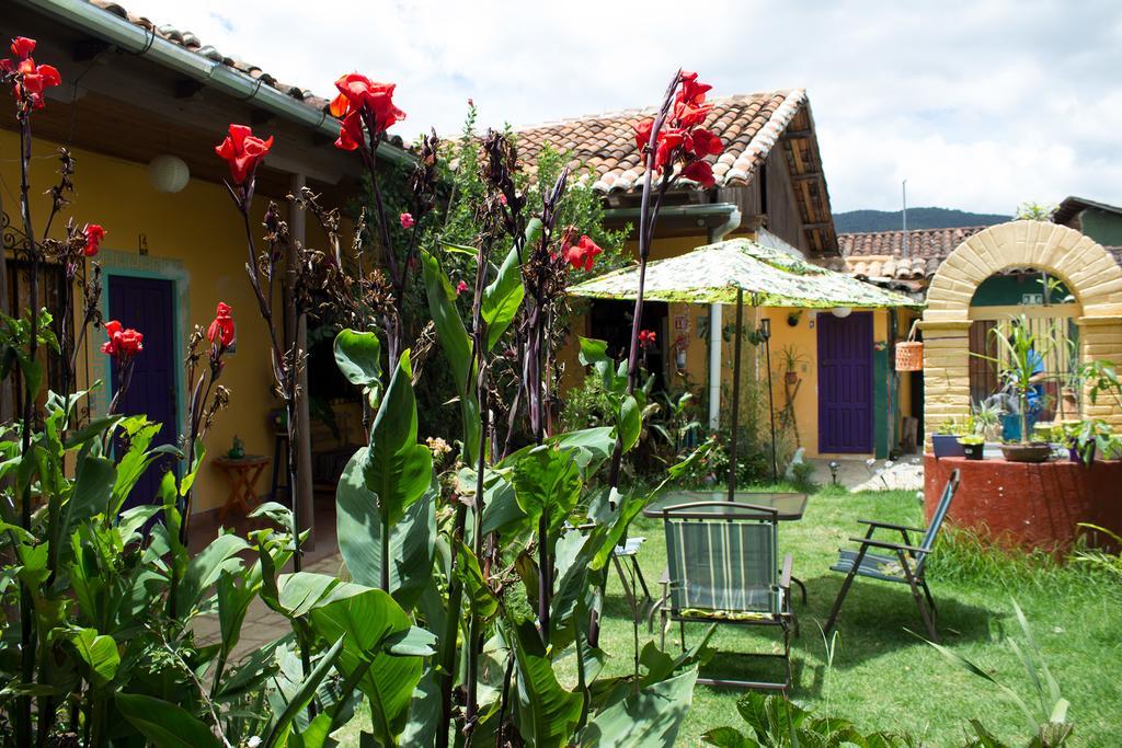 Bed and Breakfast Jaguar You San Cristóbal de Las Casas Exteriér fotografie